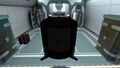 Placing the Hull Reinforcement