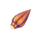 Lantern Fruit Icon.png