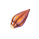 Lantern Fruit Icon.png