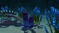 Red Roll Plant's found in the Mountain Range Caves