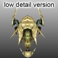 A preview render of the LOD model.