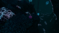 A Purple Pinecone in the Deep Grand Reef