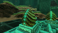One of the five Sea Emperor Leviathan Eggs