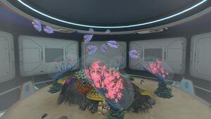 Water.jpg