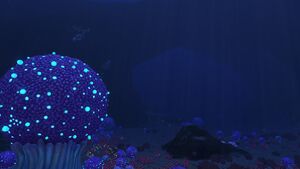 Bulb Zone (11).jpg