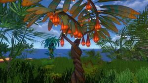Hanging Fruit Tree (1).jpg