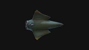 Triops Ventral View.png