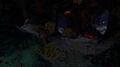 Brown Coral Tubes littering a cavern.