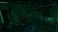 An aquarium inside the Disease Research Facility containing the skeleton of an extinct life form