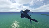 A Glow Whale jumping out of the water.