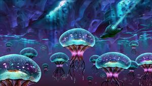 Jellyfish.jpeg