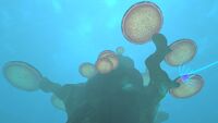The giant Tree Mushroom