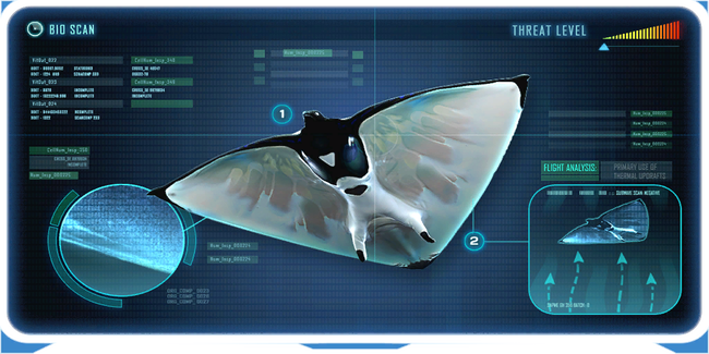 SkyRayEncy.png