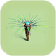 Fern Palm.png