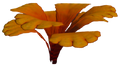 Thumbnail for version as of 20:55, 25 May 2017