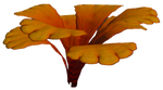 Grub Basket Flora.png