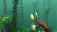A Hoverfish held in the players hand