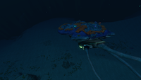 A single Reefback in the Dunes