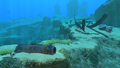 Thumbnail for version as of 08:57, 12 February 2018