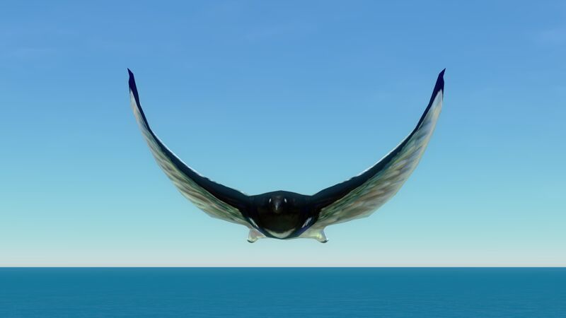 File:Skyray (3).jpg