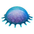 Thumbnail for version as of 20:36, 10 March 2019