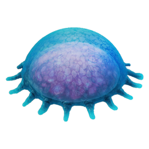 Ancient Floater.png