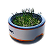 Basic Plant Pot Icon.png