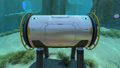Thumbnail for version as of 18:35, 30 October 2020