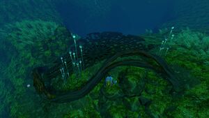 Lilypads2.jpg