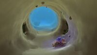 The giant coral tubes also commonly house Limestone chunks