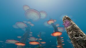 Mushroom Forest (3).jpg