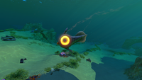 A Peeper in the Safe Shallows