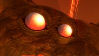 A closeup of the eyes