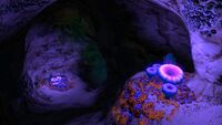 A view of the Safe Shallows Caves