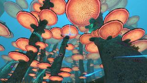 TreeMushroom2.jpg