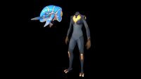 Size comparison to the player