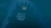 Islands from above the surface. WARP -33.5, -45.0, 581,6