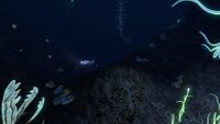 Blood Kelp Biome implementation