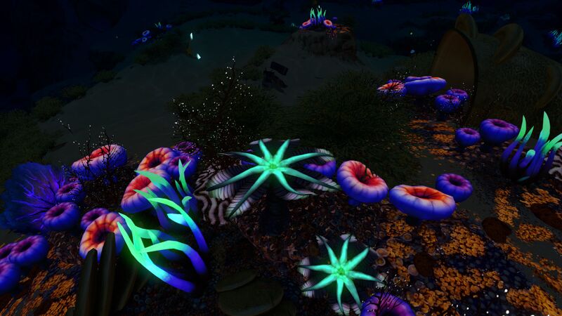 File:BluePalmNight.jpg