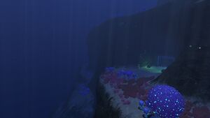Bulb Zone (5).jpg