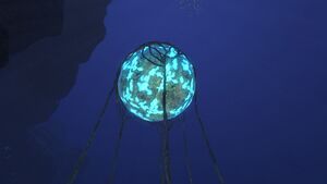 Floating Stones (3).jpg
