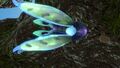 Mesmer in Koosh Zone