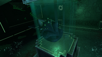 The Sea Dragon Leviathan Egg in the Disease Research Facility
