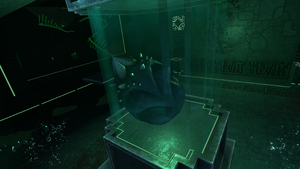 SeaDragonEggDRFGAllery.png