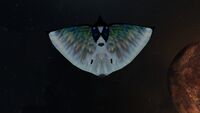 Bioluminescence