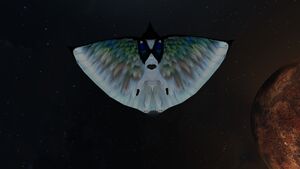 Skyray4.jpg
