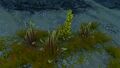 Thumbnail for version as of 06:37, 7 August 2021