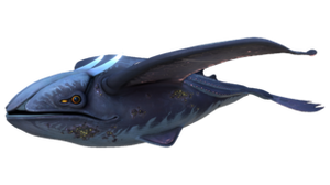 167E16DE-A5C5-4CF7-8F47-94192835A386.png