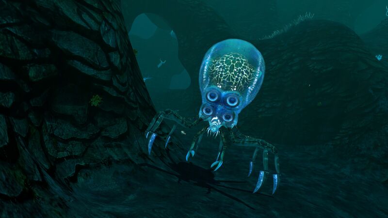 File:CREBSQUED.jpg