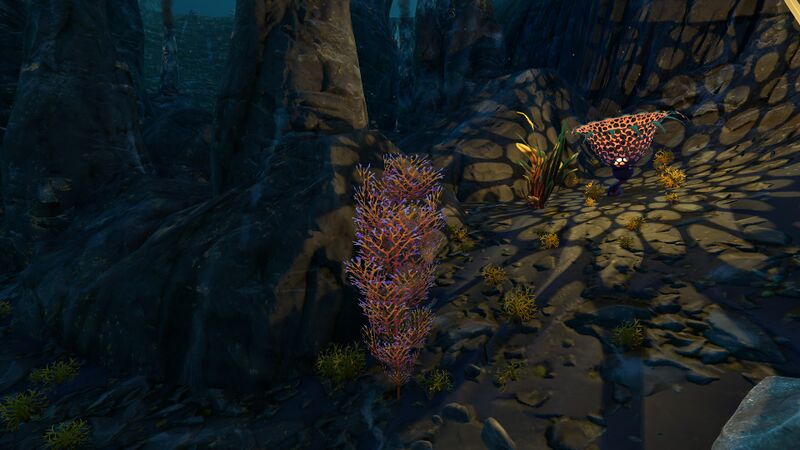 File:Cave Bush Relative TS.jpg